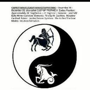 Meet your Posher, Tamika